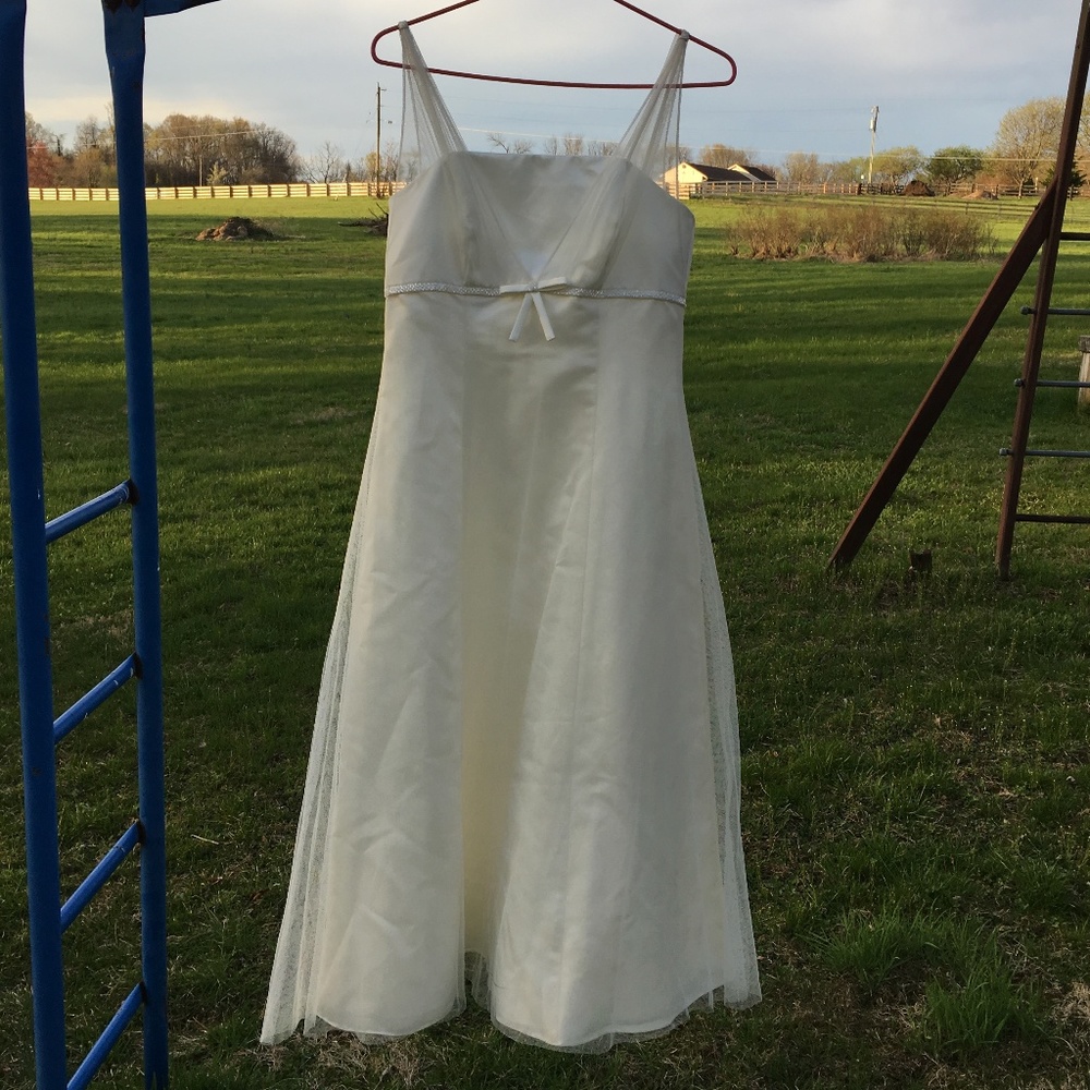 David's Bridal Ivory Tulle Wedding Gown